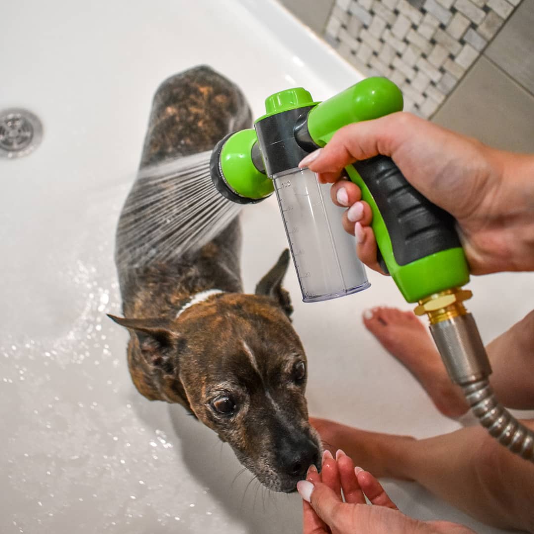 Magic Hose with Soap Dispenser