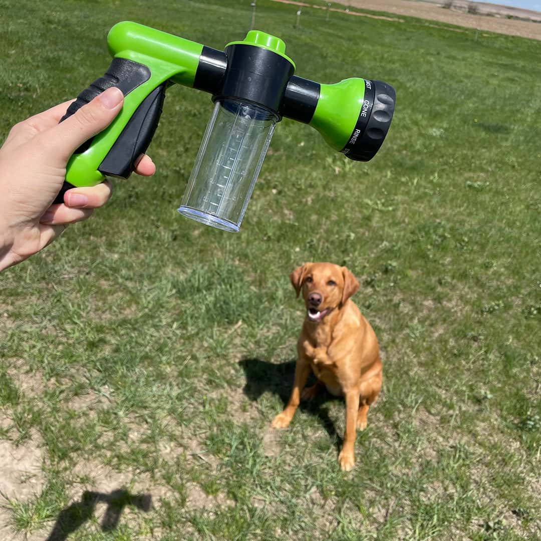 Magic Hose with Soap Dispenser